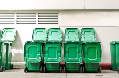 Catford neighborhood cleanup